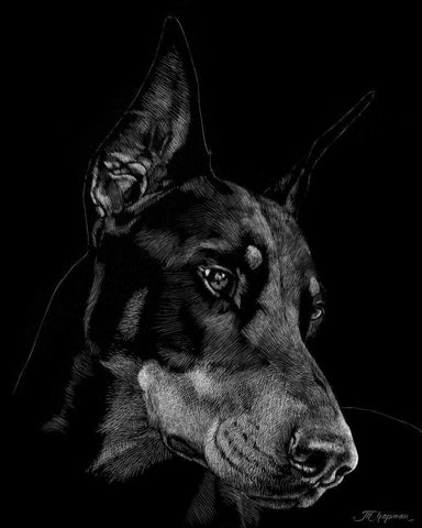 Canine Scratchboard III Black Ornate Wood Framed Art Print with Double Matting by Chapman, Julie T.