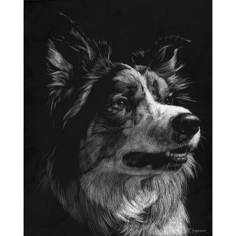 Canine Scratchboard IV White Modern Wood Framed Art Print by Chapman, Julie T.