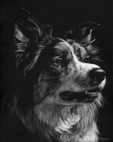 Canine Scratchboard IV Black Ornate Wood Framed Art Print with Double Matting by Chapman, Julie T.