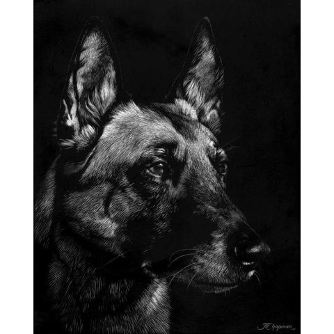 Canine Scratchboard V Black Modern Wood Framed Art Print with Double Matting by Chapman, Julie T.