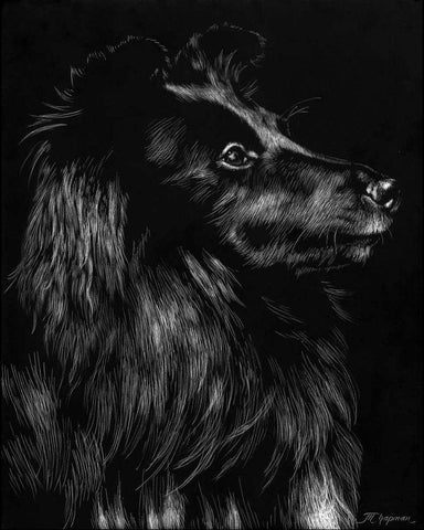 Canine Scratchboard VI Black Ornate Wood Framed Art Print with Double Matting by Chapman, Julie T.