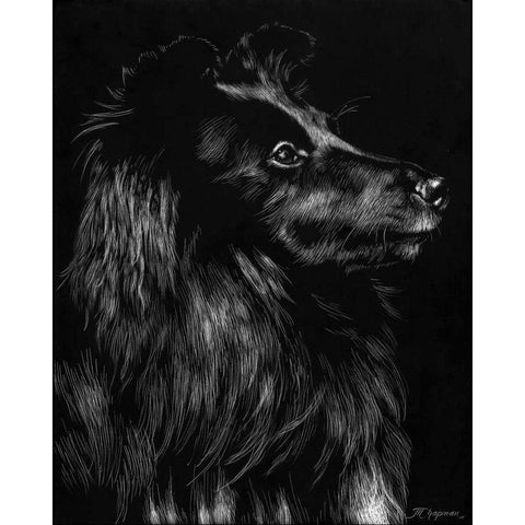 Canine Scratchboard VI Black Modern Wood Framed Art Print by Chapman, Julie T.
