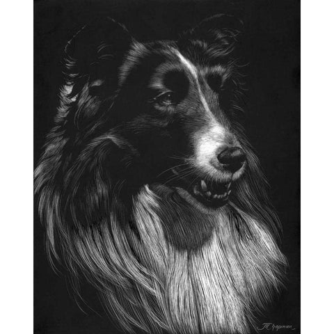Canine Scratchboard VII Black Modern Wood Framed Art Print by Chapman, Julie T.