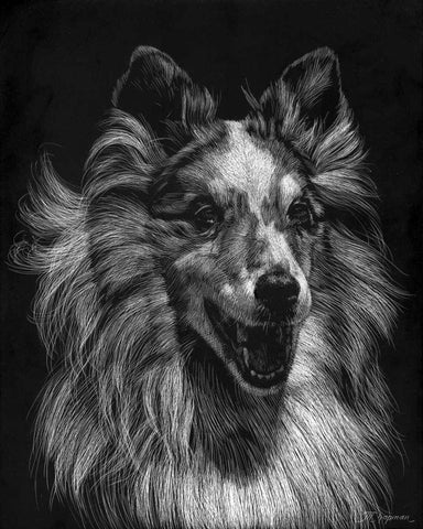 Canine Scratchboard VIII White Modern Wood Framed Art Print with Double Matting by Chapman, Julie T.