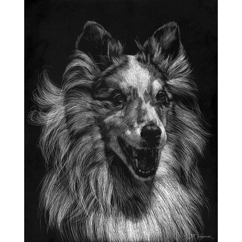 Canine Scratchboard VIII Black Modern Wood Framed Art Print with Double Matting by Chapman, Julie T.