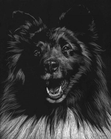 Canine Scratchboard IX Black Ornate Wood Framed Art Print with Double Matting by Chapman, Julie T.