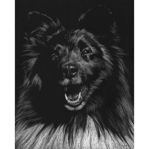 Canine Scratchboard IX Black Modern Wood Framed Art Print by Chapman, Julie T.