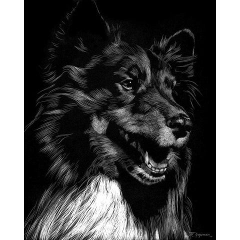 Canine Scratchboard X Gold Ornate Wood Framed Art Print with Double Matting by Chapman, Julie T.