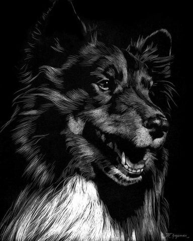 Canine Scratchboard X White Modern Wood Framed Art Print with Double Matting by Chapman, Julie T.