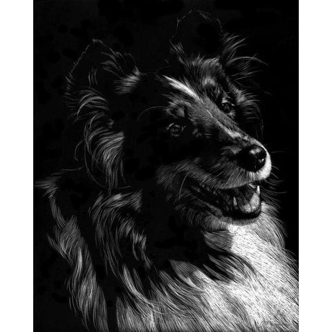 Canine Scratchboard XI White Modern Wood Framed Art Print by Chapman, Julie T.