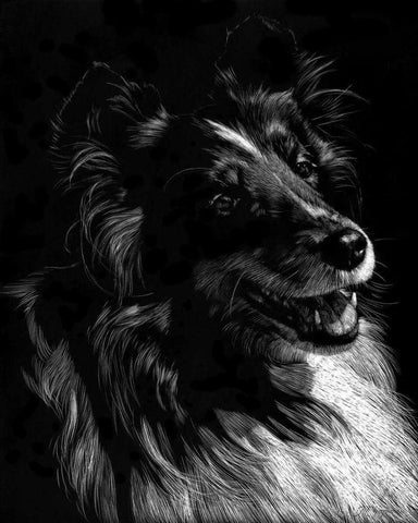 Canine Scratchboard XI White Modern Wood Framed Art Print with Double Matting by Chapman, Julie T.