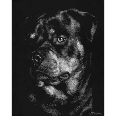 Canine Scratchboard XII Gold Ornate Wood Framed Art Print with Double Matting by Chapman, Julie T.