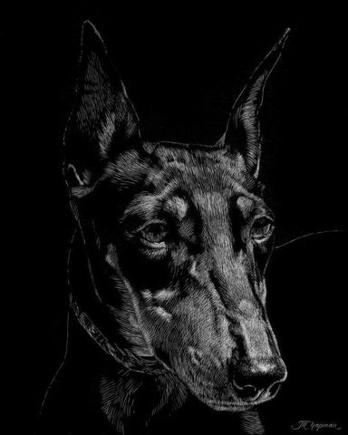 Canine Scratchboard XIII White Modern Wood Framed Art Print with Double Matting by Chapman, Julie T.