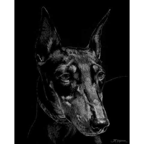 Canine Scratchboard XIII White Modern Wood Framed Art Print by Chapman, Julie T.