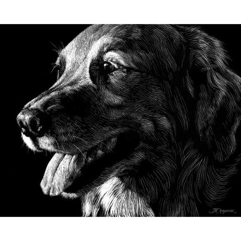 Canine Scratchboard XIV Black Modern Wood Framed Art Print with Double Matting by Chapman, Julie T.