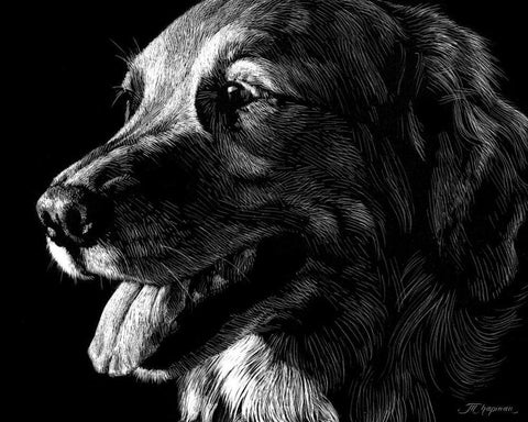 Canine Scratchboard XIV Black Ornate Wood Framed Art Print with Double Matting by Chapman, Julie T.
