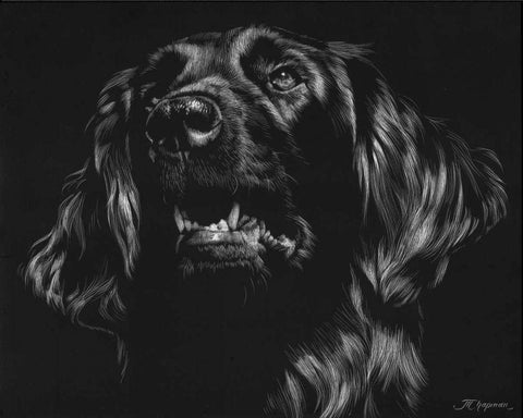Canine Scratchboard XV Black Ornate Wood Framed Art Print with Double Matting by Chapman, Julie T.