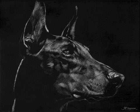 Canine Scratchboard XVI White Modern Wood Framed Art Print with Double Matting by Chapman, Julie T.