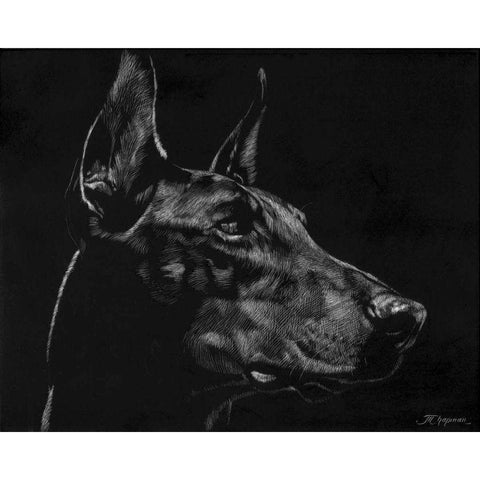 Canine Scratchboard XVI Black Modern Wood Framed Art Print by Chapman, Julie T.
