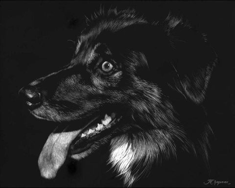 Canine Scratchboard XIV White Modern Wood Framed Art Print with Double Matting by Chapman, Julie T.