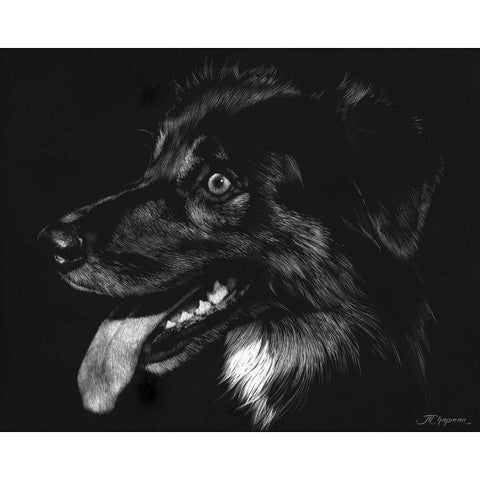 Canine Scratchboard XIV Black Modern Wood Framed Art Print by Chapman, Julie T.