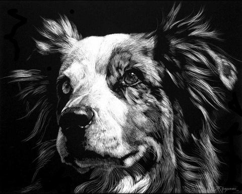 Canine Scratchboard XX Black Ornate Wood Framed Art Print with Double Matting by Chapman, Julie T.