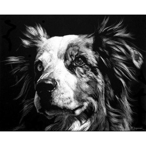 Canine Scratchboard XX Black Modern Wood Framed Art Print by Chapman, Julie T.