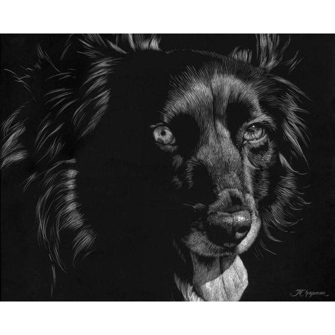 Canine Scratchboard XXI Black Modern Wood Framed Art Print by Chapman, Julie T.