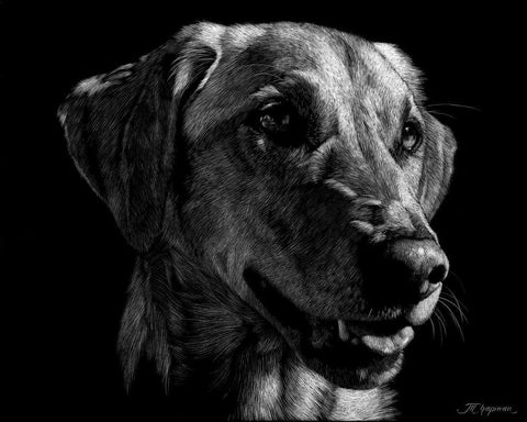 Canine Scratchboard XXIV White Modern Wood Framed Art Print with Double Matting by Chapman, Julie T.