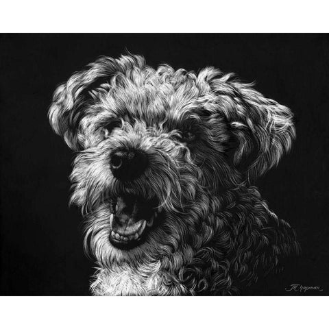 Canine Scratchboard XXV White Modern Wood Framed Art Print by Chapman, Julie T.