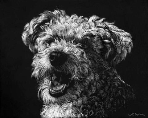 Canine Scratchboard XXV White Modern Wood Framed Art Print with Double Matting by Chapman, Julie T.