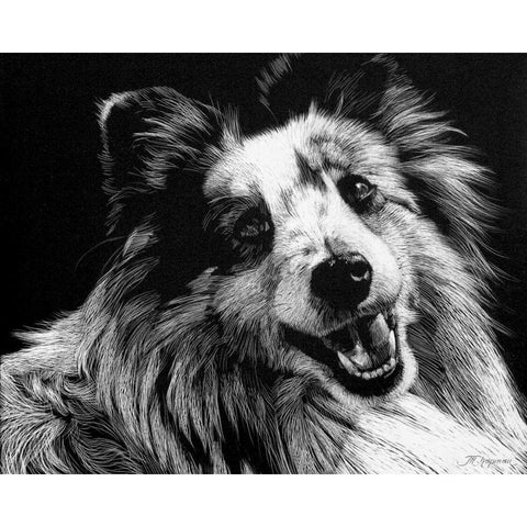 Canine Scratchboard XXVI White Modern Wood Framed Art Print by Chapman, Julie T.