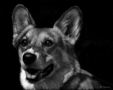 Canine Scratchboard XXIX White Modern Wood Framed Art Print with Double Matting by Chapman, Julie T.