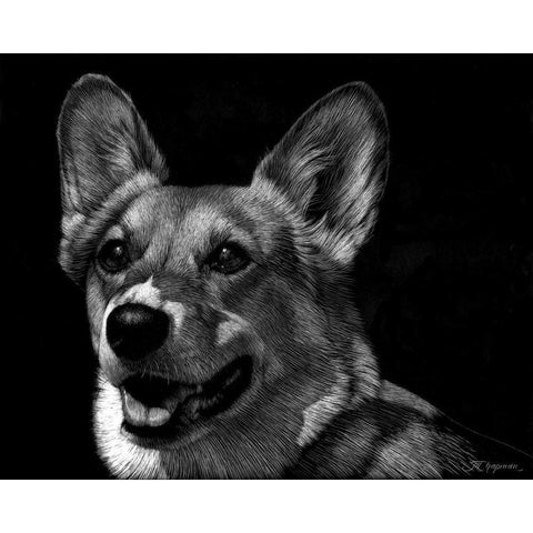 Canine Scratchboard XXIX White Modern Wood Framed Art Print by Chapman, Julie T.