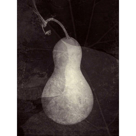 Gourd I Black Modern Wood Framed Art Print by Ray, Elena