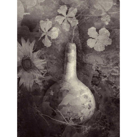 Gourd II Black Modern Wood Framed Art Print with Double Matting by Ray, Elena