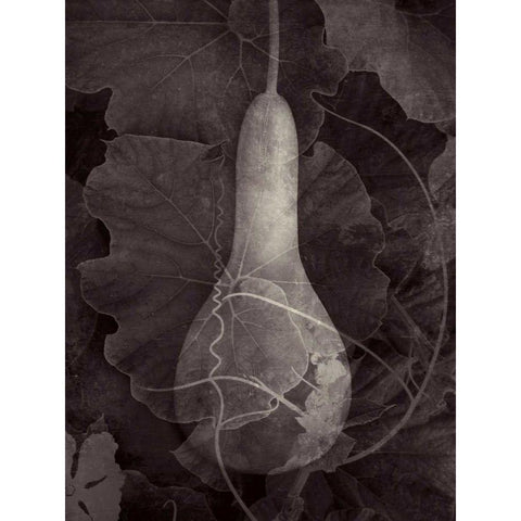 Gourd III Black Modern Wood Framed Art Print with Double Matting by Ray, Elena
