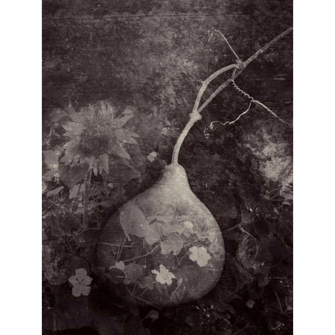 Gourd IV Black Modern Wood Framed Art Print with Double Matting by Ray, Elena