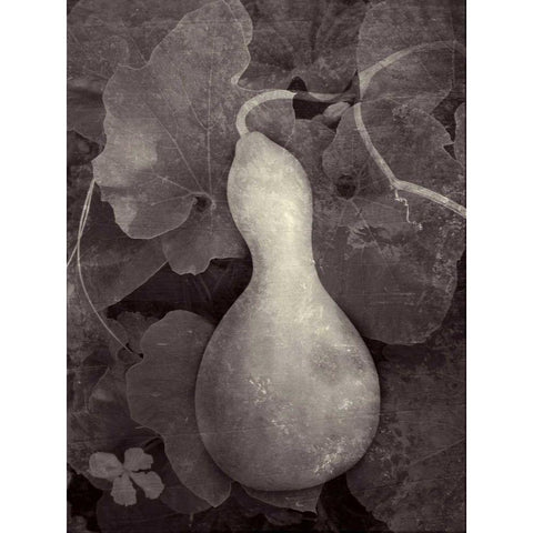 Gourd V Gold Ornate Wood Framed Art Print with Double Matting by Ray, Elena