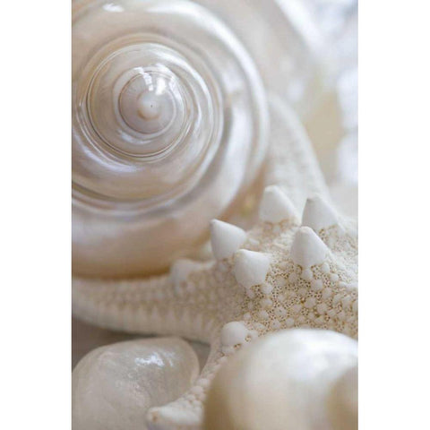 Pearlesce II White Modern Wood Framed Art Print by Zalewski, Christine