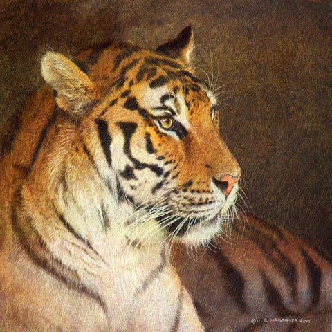 Tiger Black Ornate Wood Framed Art Print with Double Matting by Vest, Chris