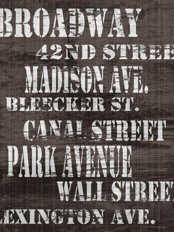 Streets of New York I Black Ornate Wood Framed Art Print with Double Matting by James, Andrea