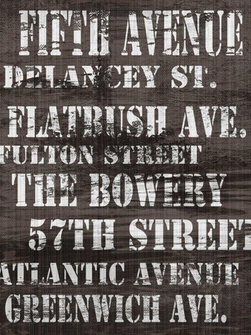 Streets of New York II Black Ornate Wood Framed Art Print with Double Matting by James, Andrea