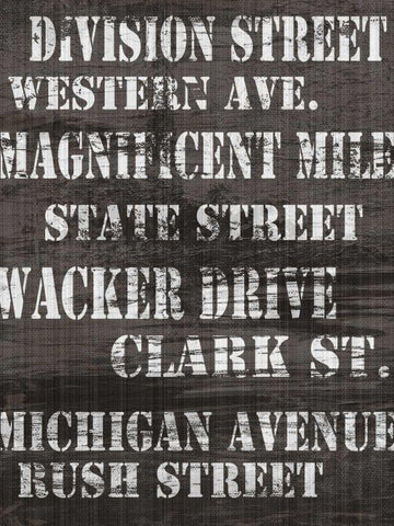 Streets of Chicago I Black Ornate Wood Framed Art Print with Double Matting by James, Andrea
