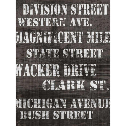 Streets of Chicago I Black Modern Wood Framed Art Print with Double Matting by James, Andrea