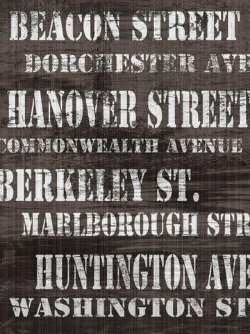 Streets of Boston II Black Ornate Wood Framed Art Print with Double Matting by James, Andrea