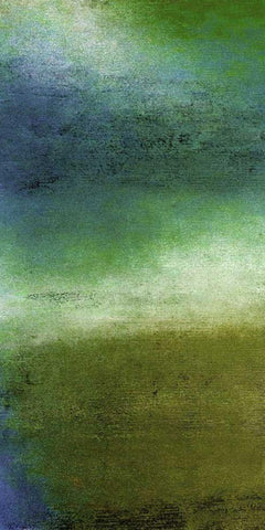 Hope Floats III Black Ornate Wood Framed Art Print with Double Matting by Mountain, Ricki