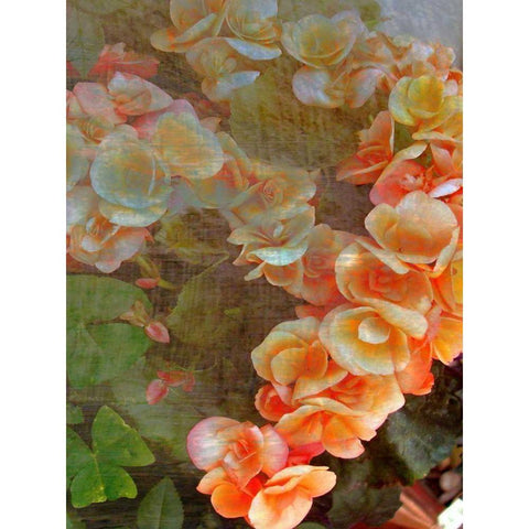 Luxurious I Black Modern Wood Framed Art Print by Harrington, Danielle