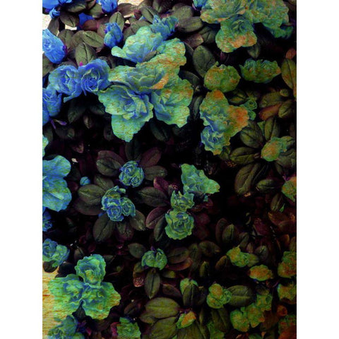 Luxurious II White Modern Wood Framed Art Print by Harrington, Danielle