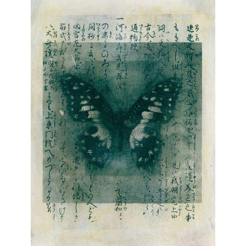 Butterfly Calligraphy I Black Modern Wood Framed Art Print with Double Matting by Ray, Elena